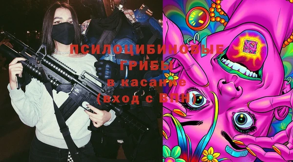spice Михайловск