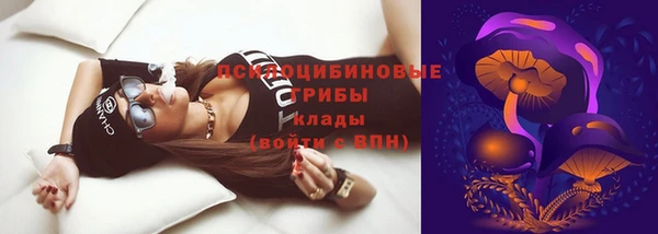 молекула духа Михайлов