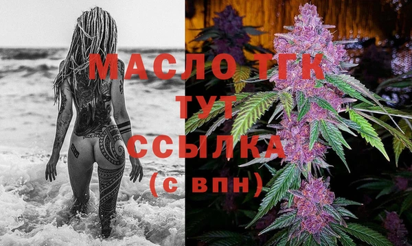 молекула духа Михайлов