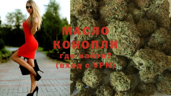 молекула духа Михайлов