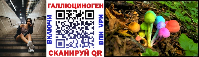 Галлюциногенные грибы прущие грибы blacksprut маркетплейс Арамиль